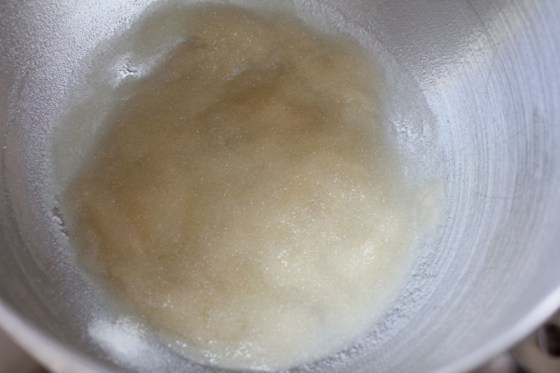 Marshmallow Prebloom