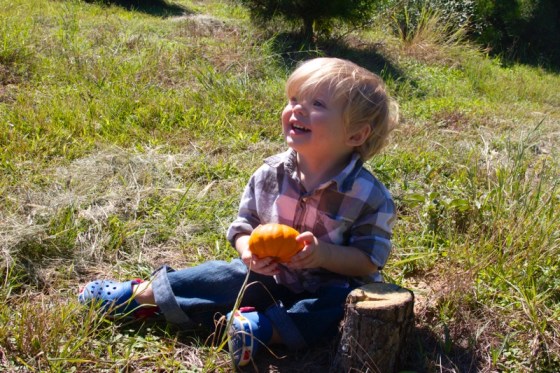 Mommy's favorite pumpkin